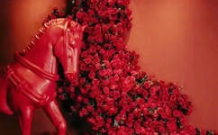 小扫货水怎么这么多